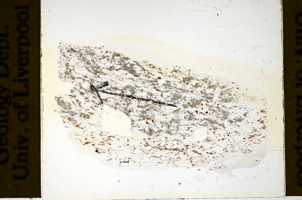 Plane Polarized, S85983