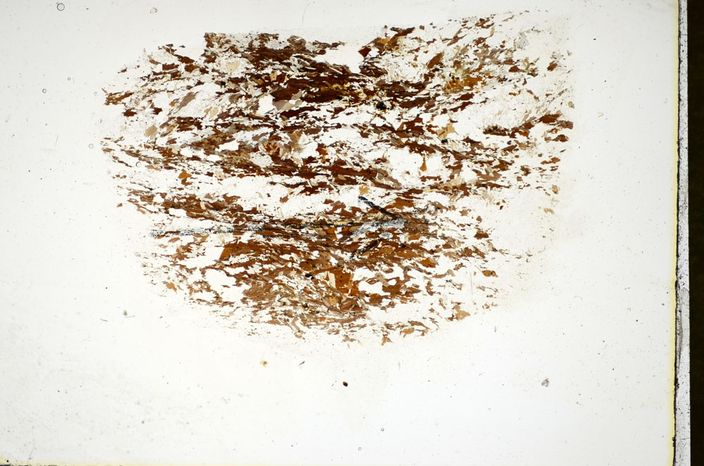 Plane Polarized, S85985