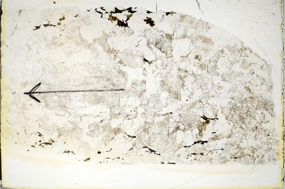 Plane Polarized, S85986