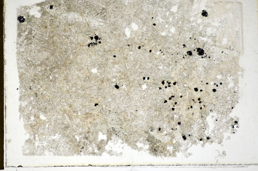 Plane Polarized, S85988