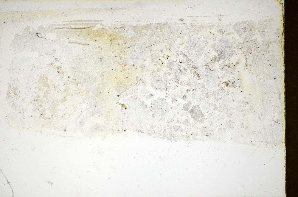 Plane Polarized, S86015