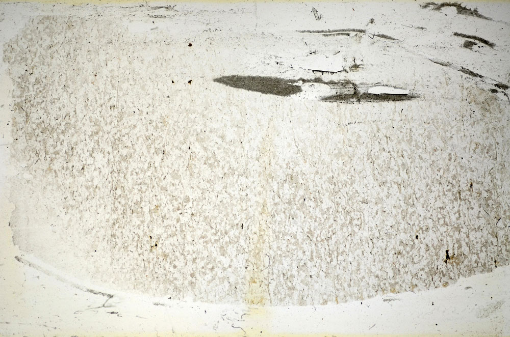 Plane Polarized, S86016