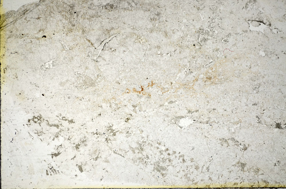 Plane Polarized, S86018