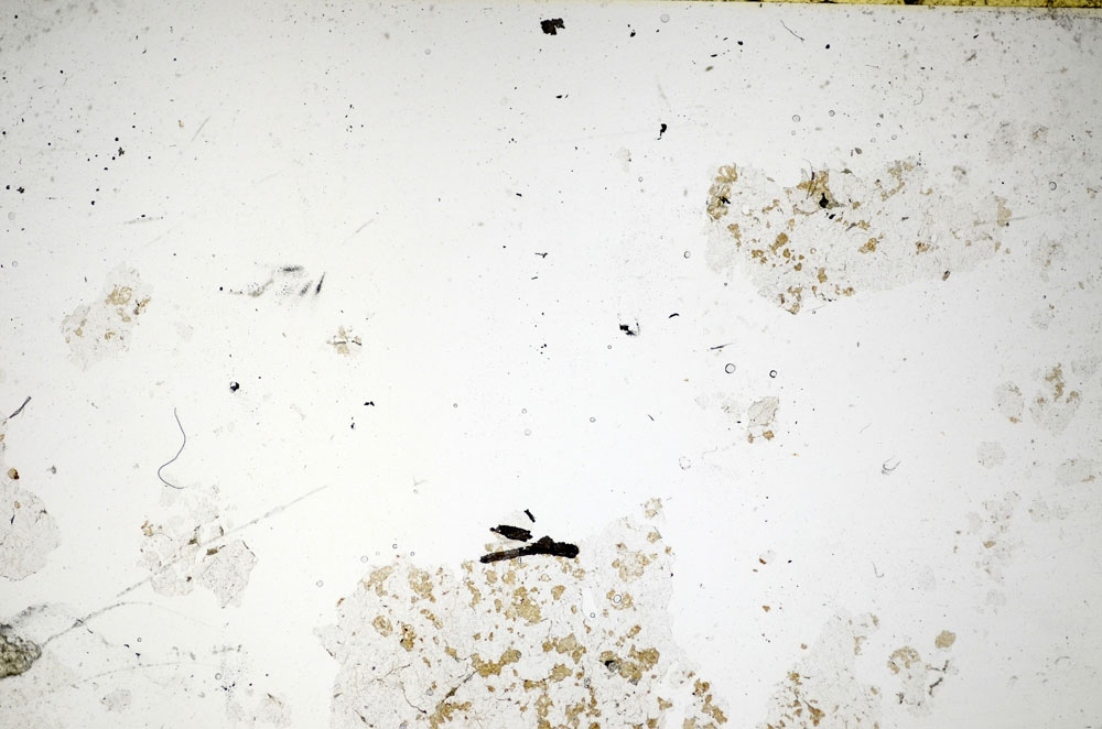 Plane Polarized, S86029