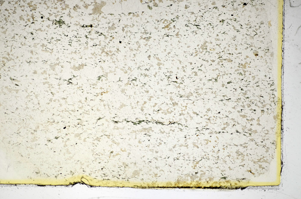 Plane Polarized, S86031