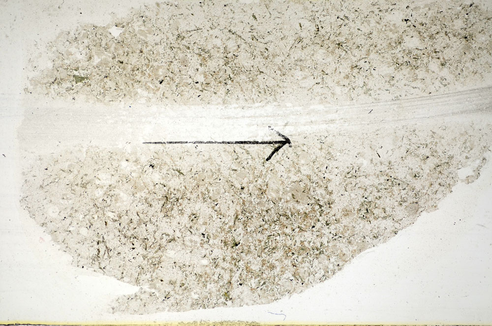 Plane Polarized, S86042