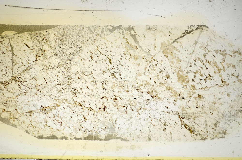 Plane Polarized, S86058