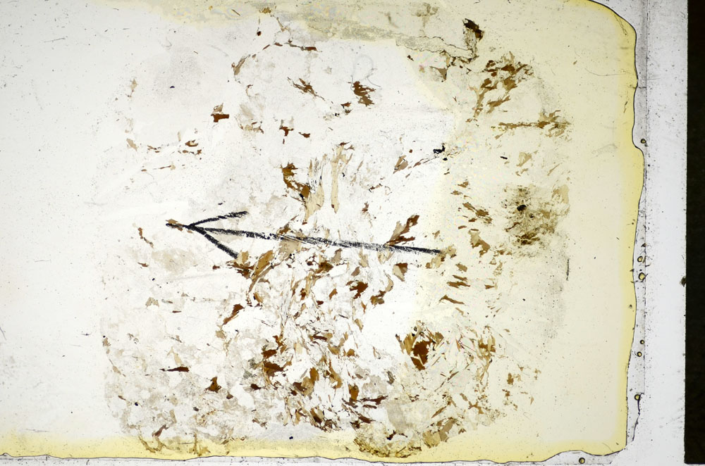 Plane Polarized, S86071