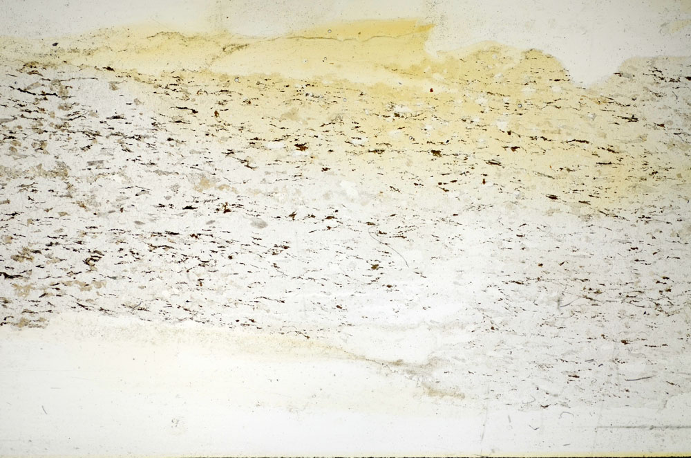 Plane Polarized, S86072