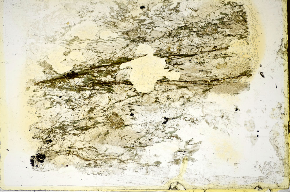 Plane Polarized, S86073