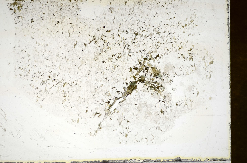 Plane Polarized, S86075