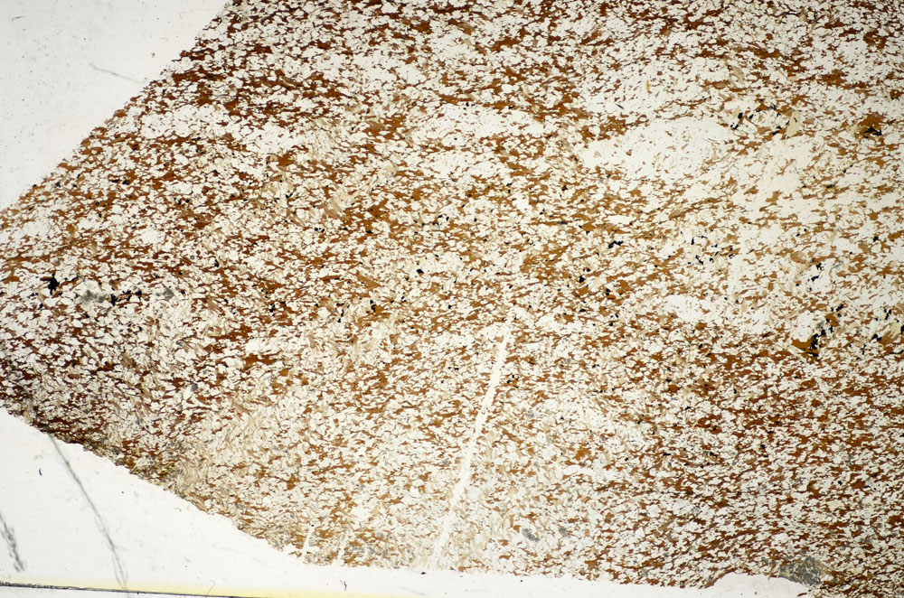 Plane Polarized, S86080