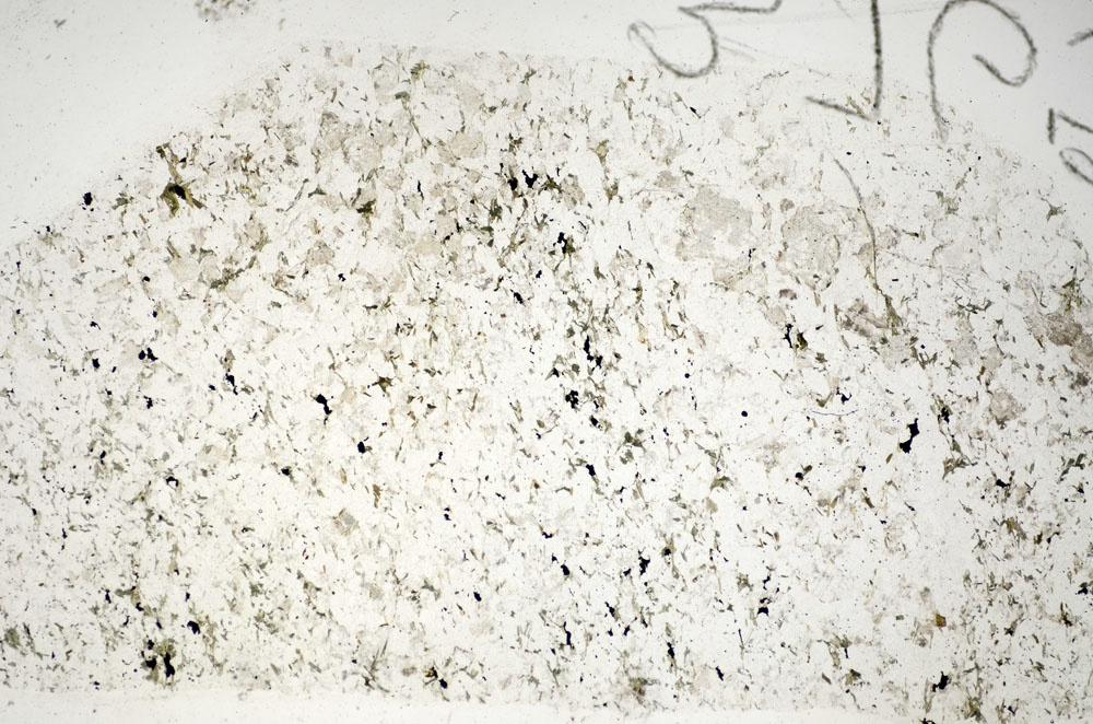 Plane Polarized, S86088