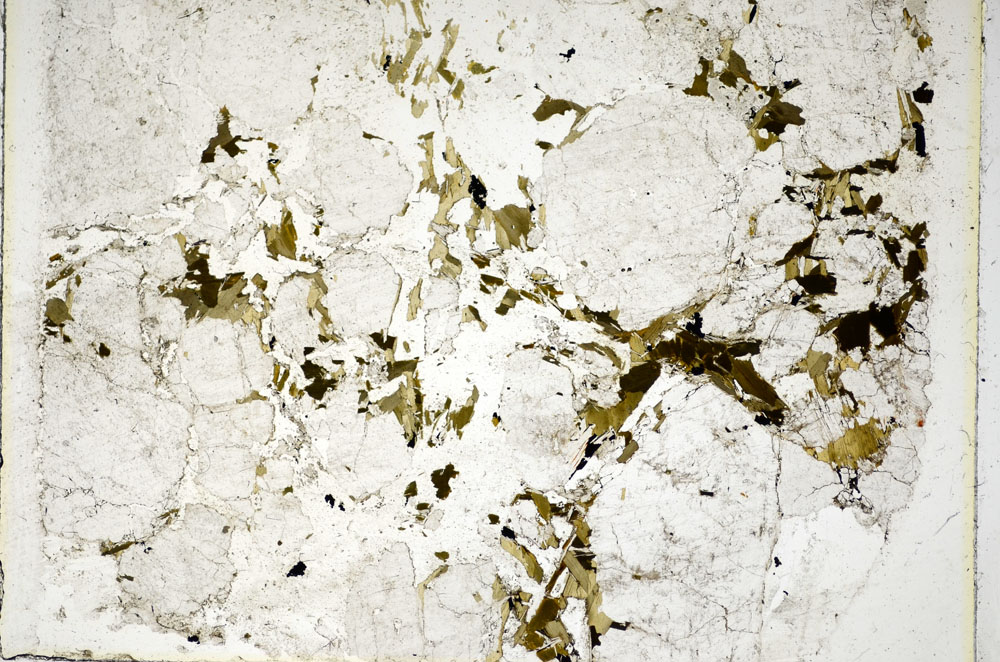 Plane Polarized, S86094