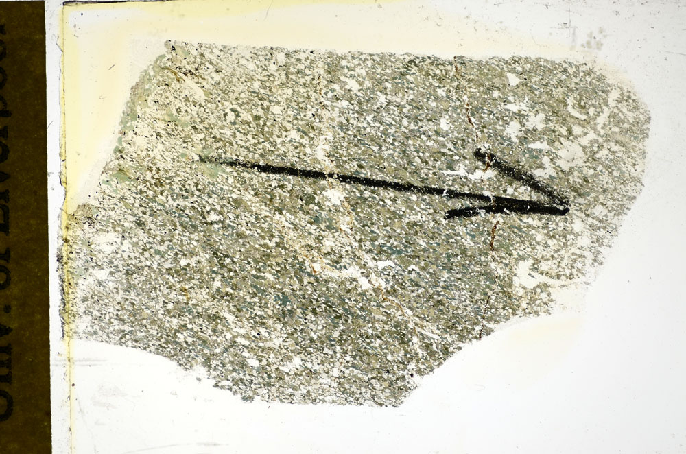 Plane Polarized, S86095