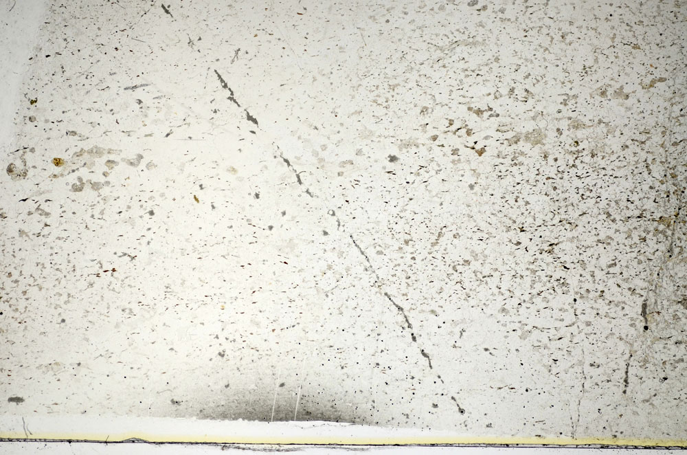 Plane Polarized, S86128