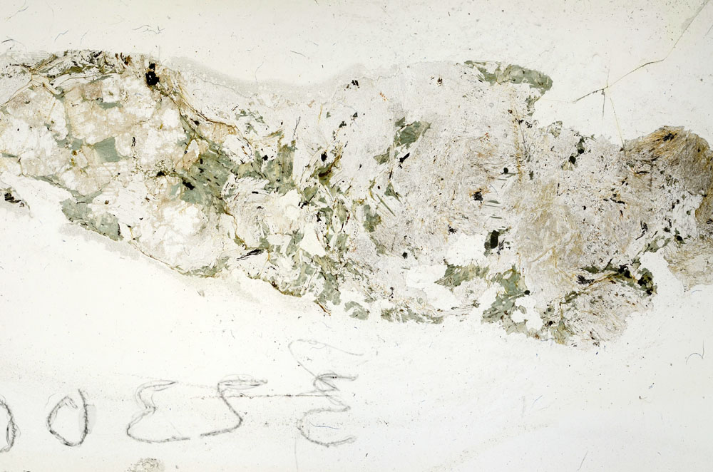 Plane Polarized, S86186