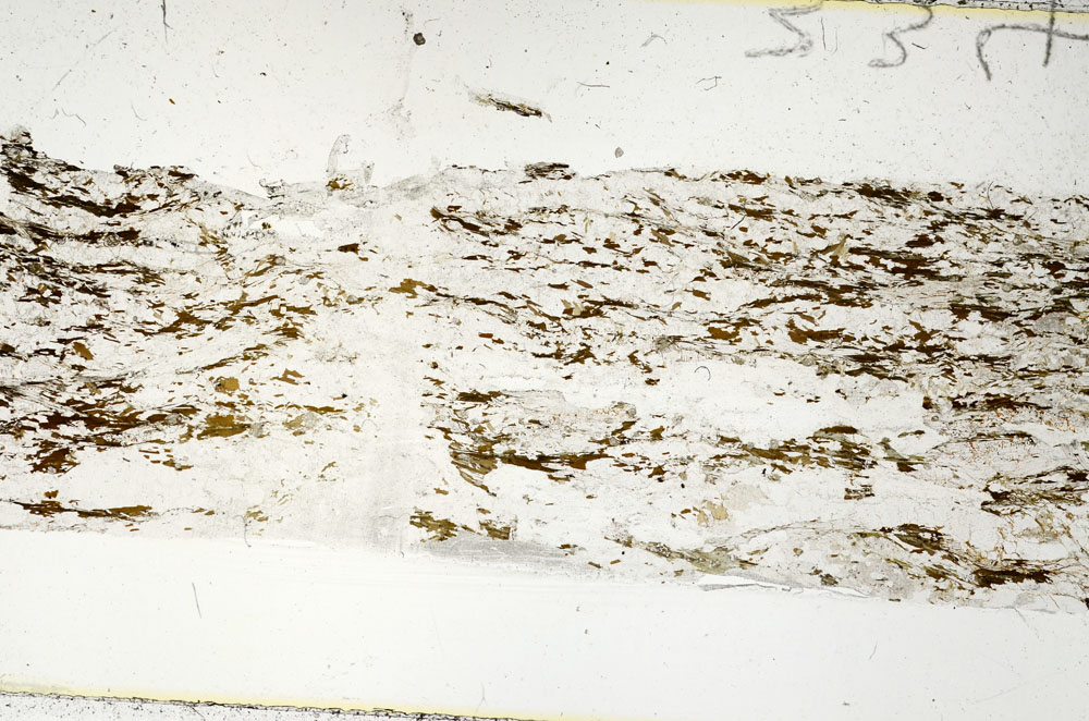 Plane Polarized, S86187