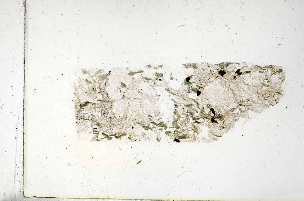 Plane Polarized, S86188