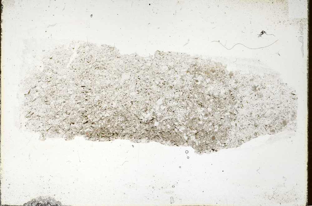 Plane Polarized, S86208