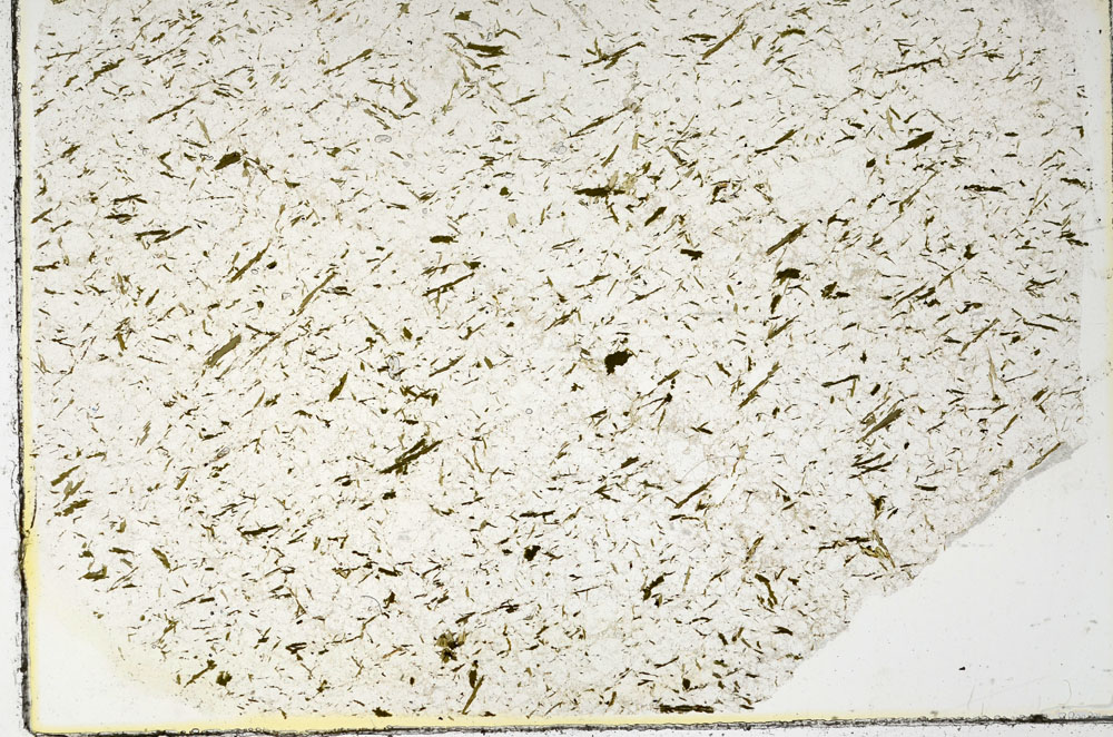Plane Polarized, S86231