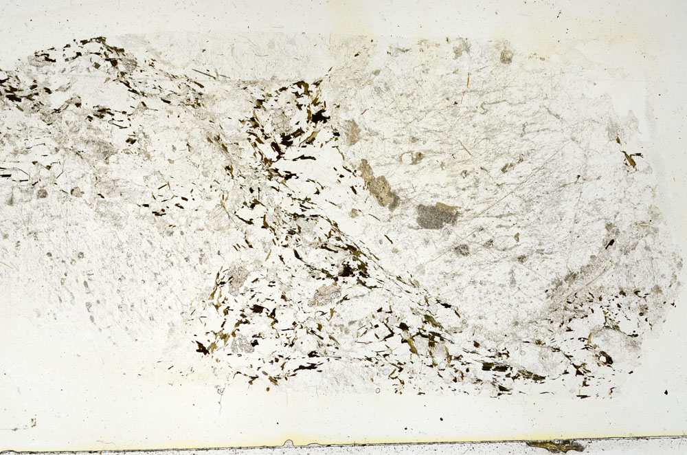 Plane Polarized, S86239