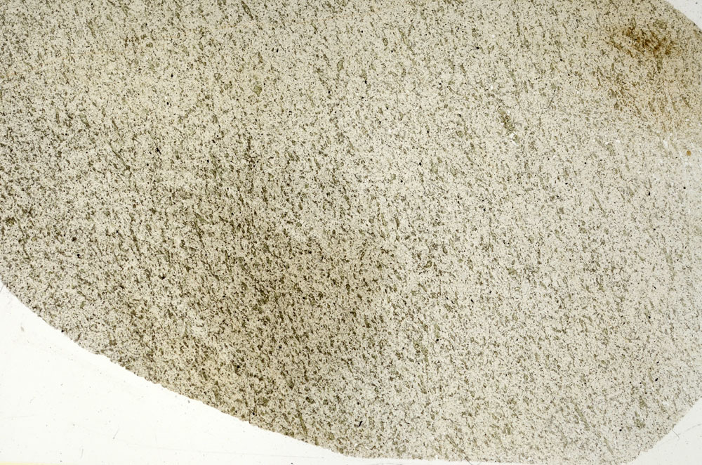 Plane Polarized, S86242