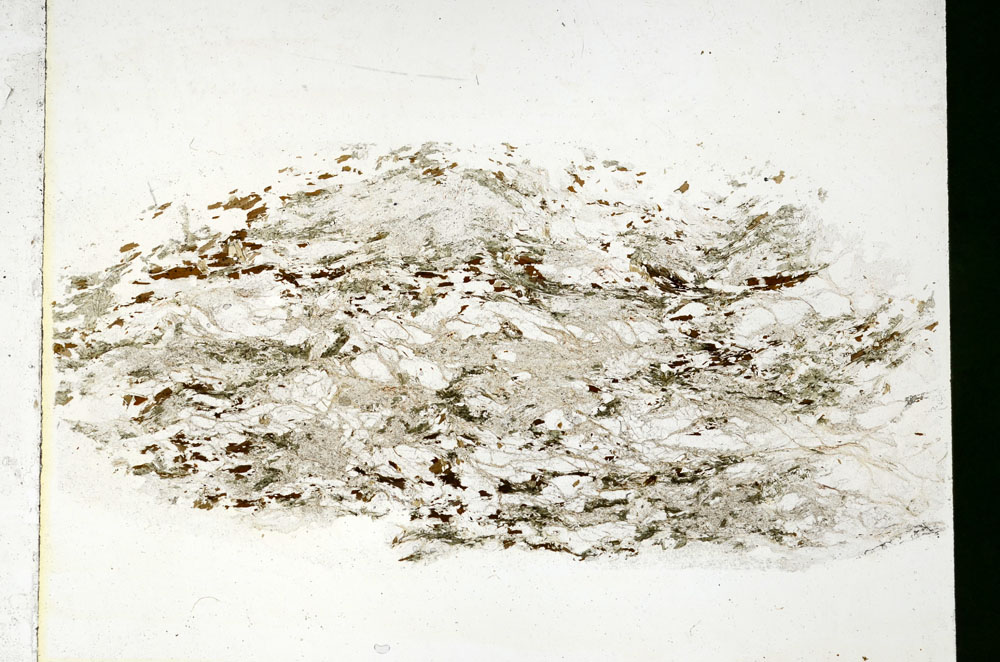 Plane Polarized, S86245