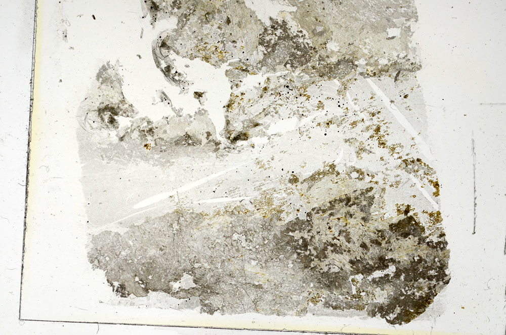 Plane Polarized, S86274