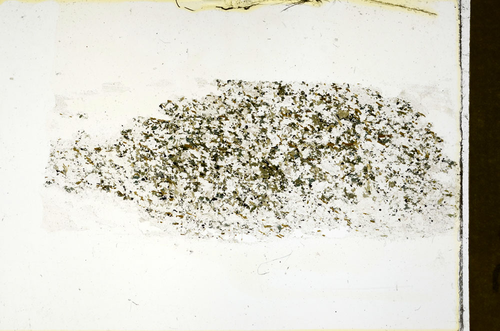 Plane Polarized, S86286