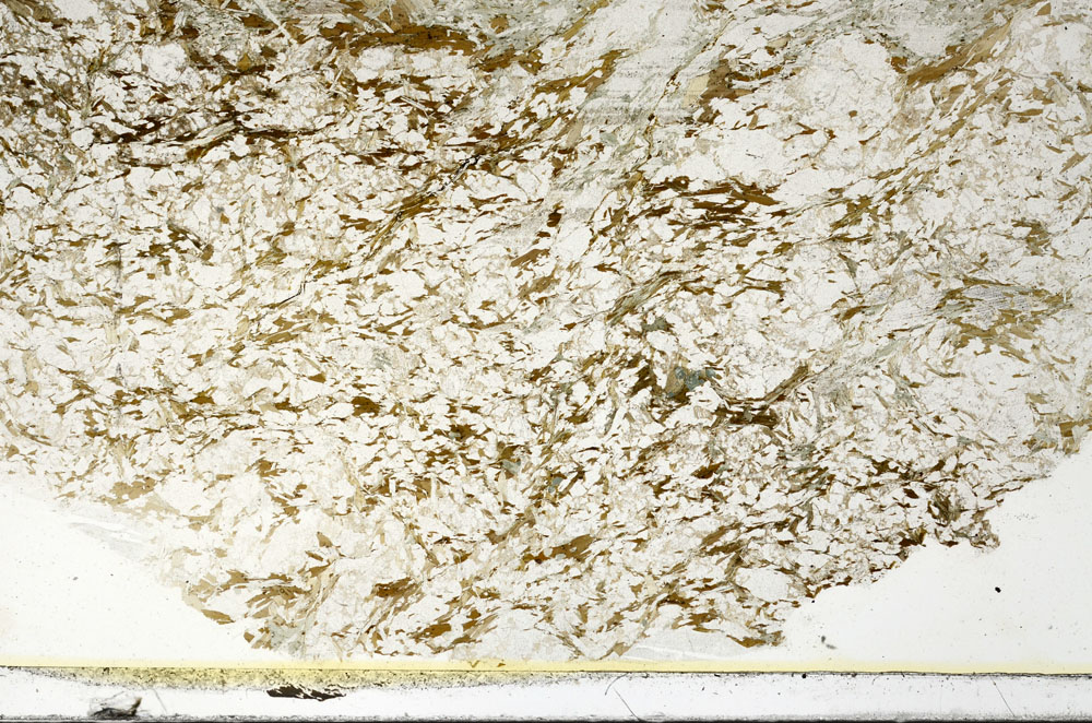 Plane Polarized, S86289