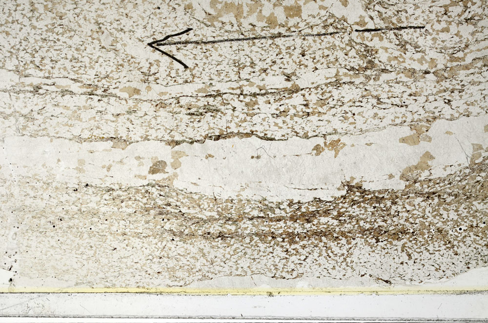 Plane Polarized, S86292