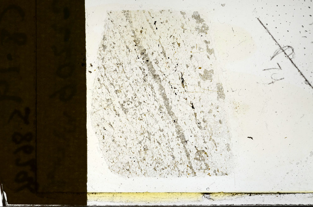 Plane Polarized, S86296