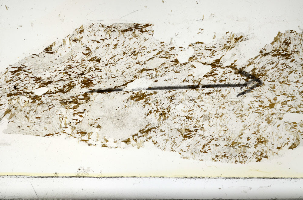 Plane Polarized, S86324