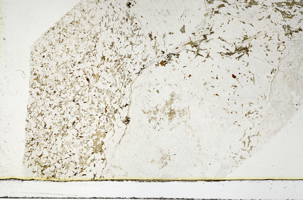 Plane Polarized, S86336