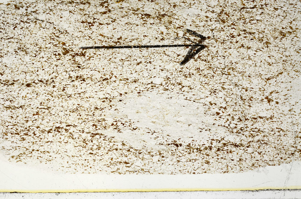 Plane Polarized, S86342
