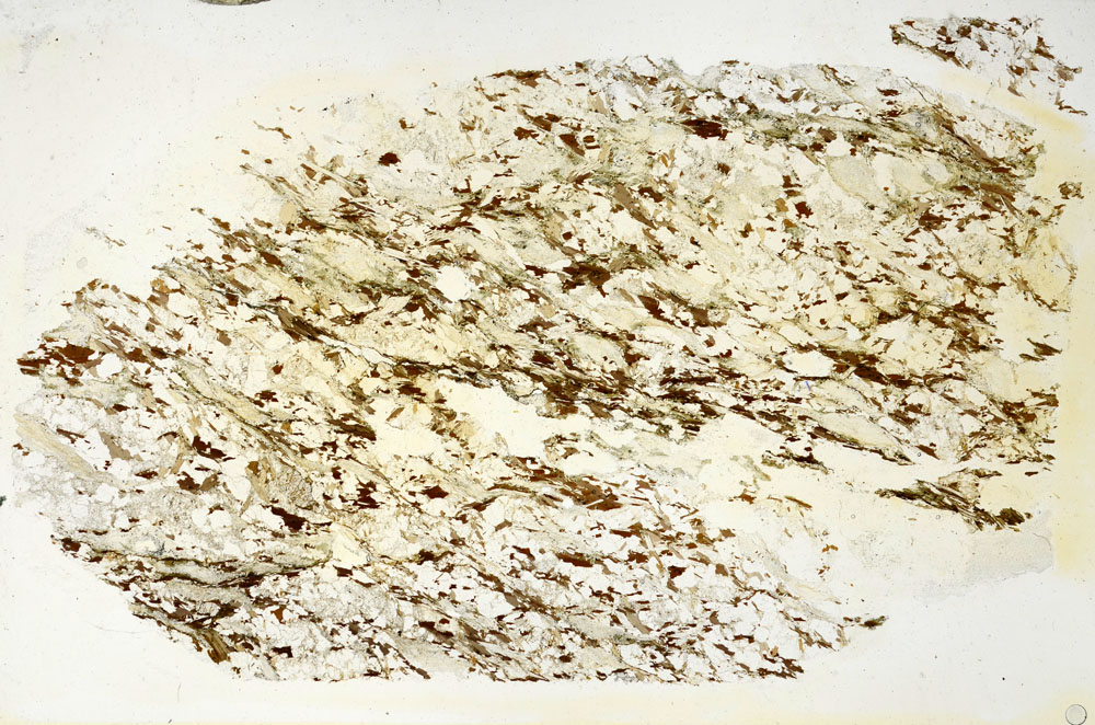Plane Polarized, S86343