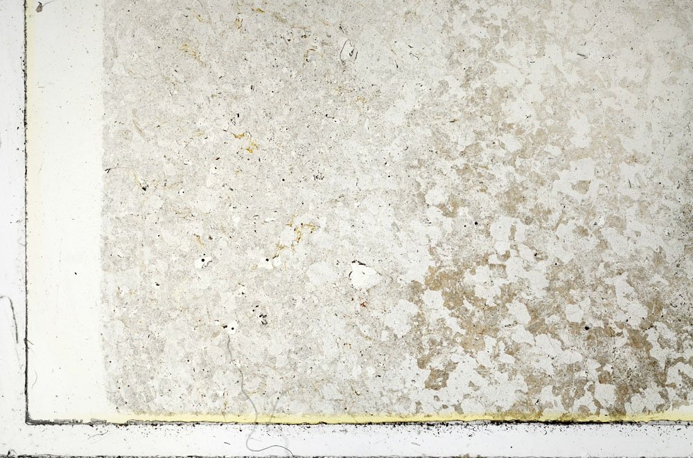 Plane Polarized, S86351