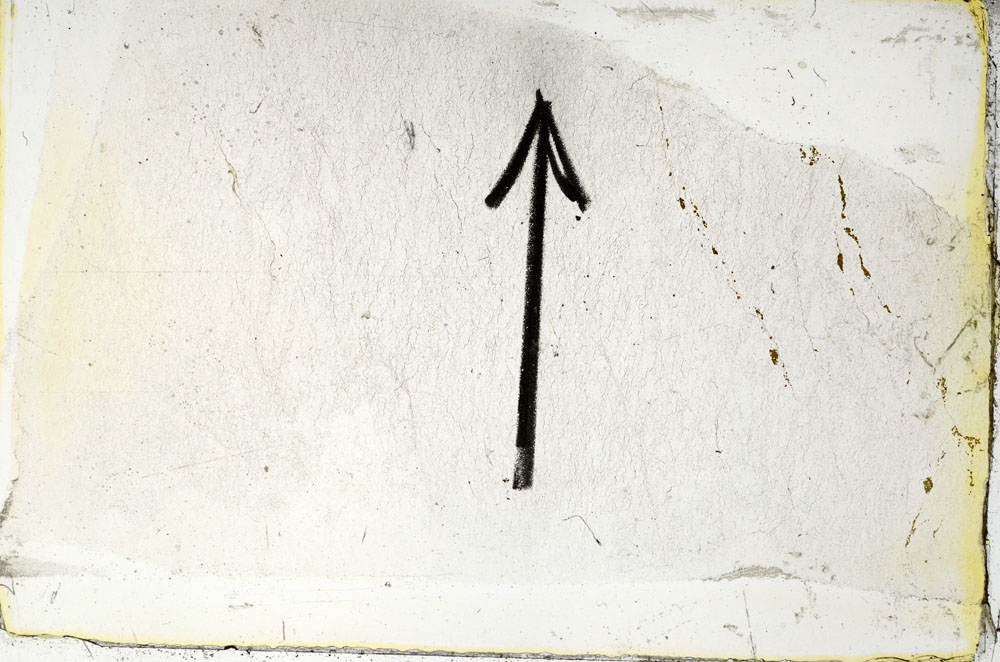 Plane Polarized, S86352