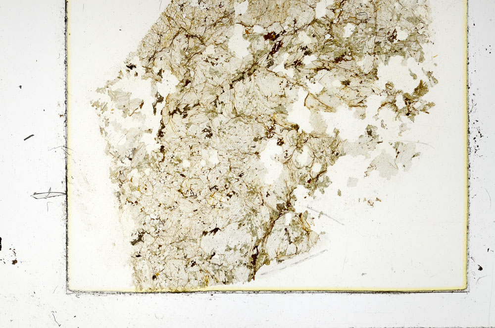 Plane Polarized, S86354