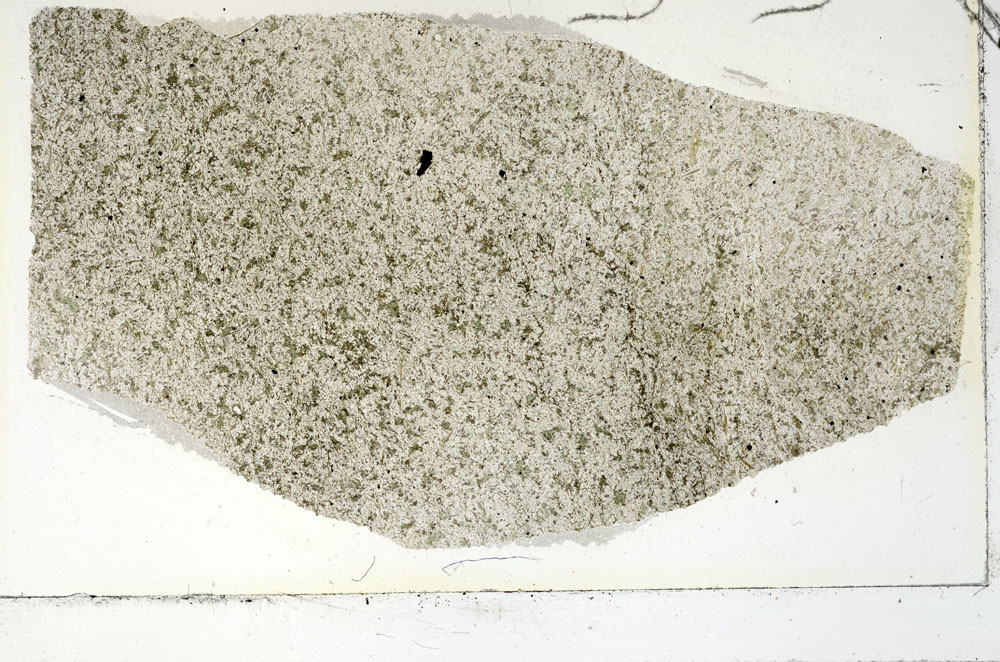 Plane Polarized, S86367