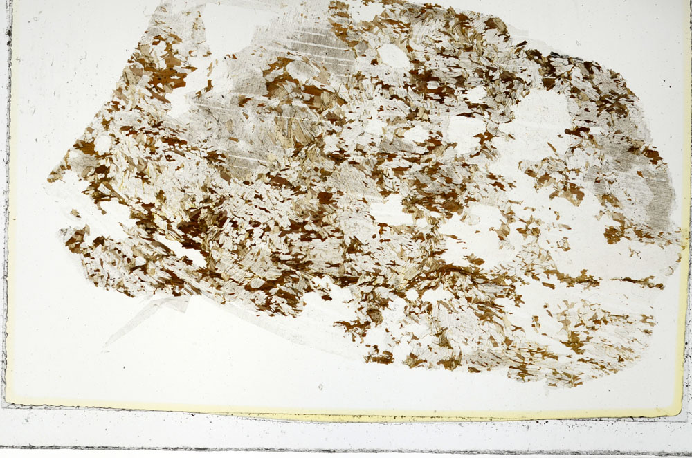 Plane Polarized, S86412