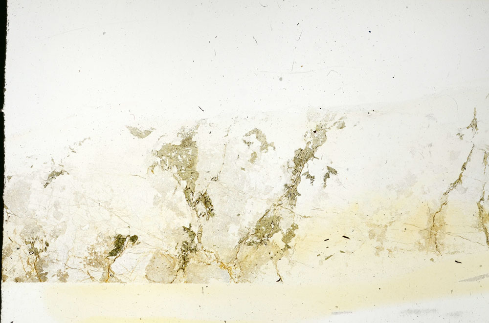 Plane Polarized, S86413