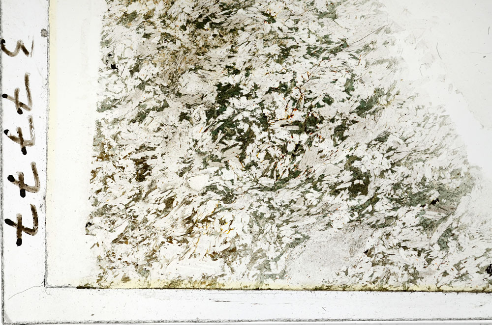 Plane Polarized, S86418