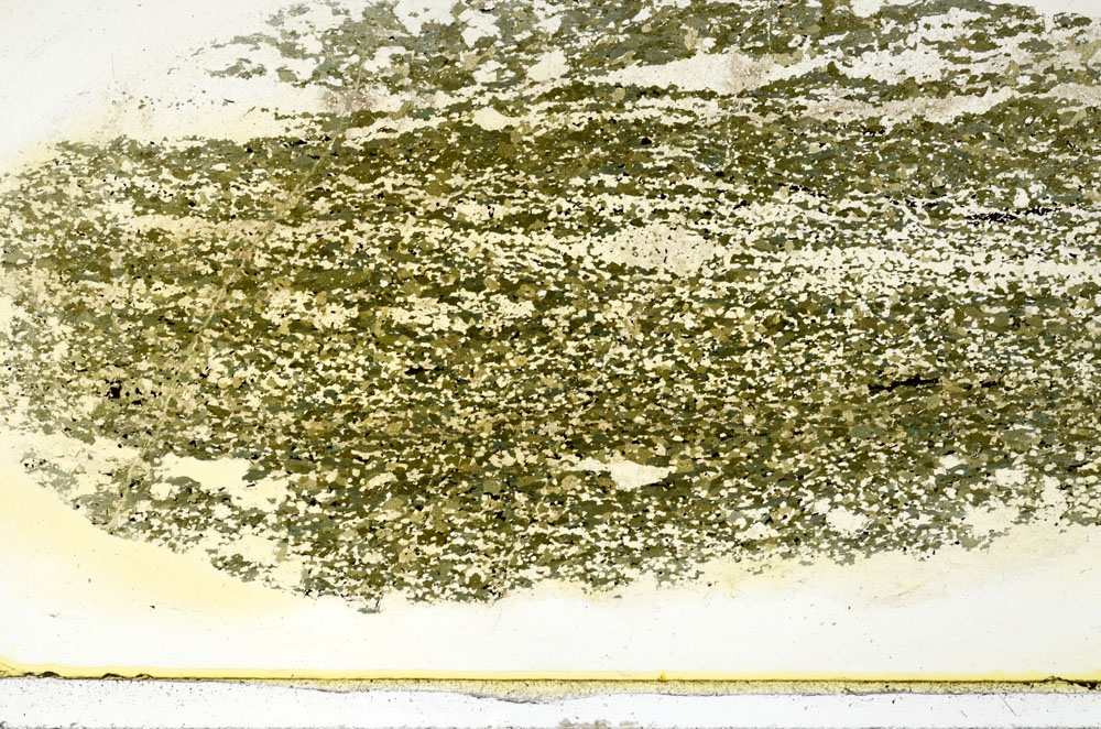 Plane Polarized, S86436