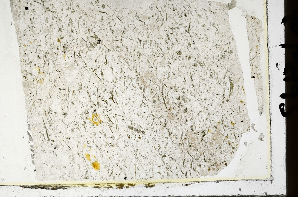 Plane Polarized, S86438