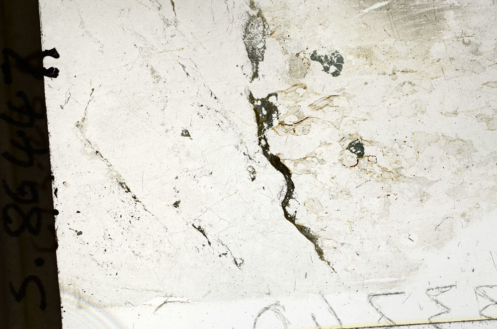 Plane Polarized, S86447