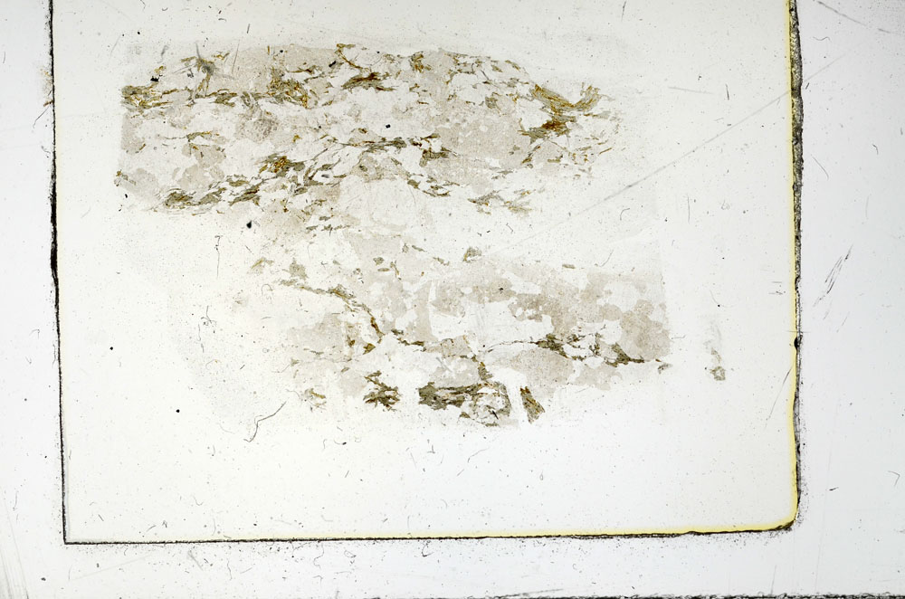 Plane Polarized, S86451