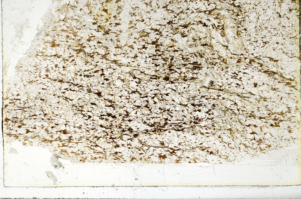 Plane Polarized, S86453