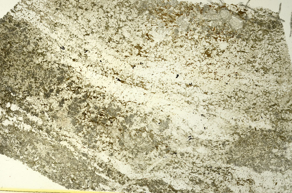 Plane Polarized, S86467